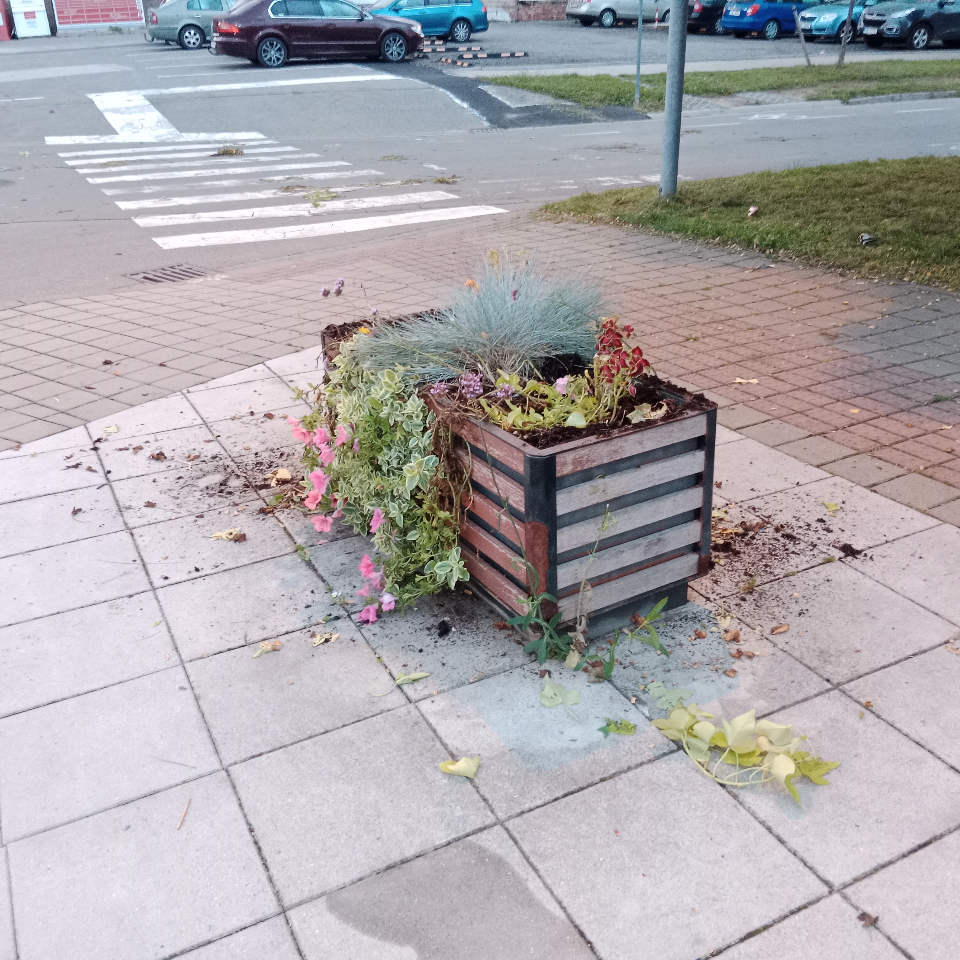 Fotografie 171